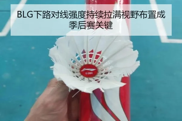 BLG下路对线强度持续拉满视野布置成季后赛关键 - ANBOSPORT